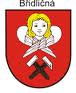 bridlicna